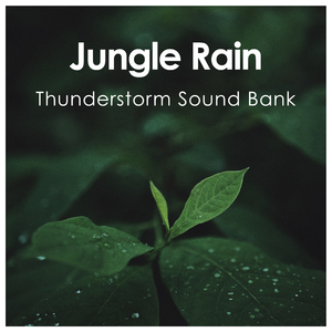 Heavy Rain Wild Lands