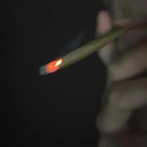 Magical