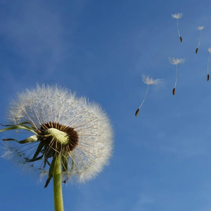 我有一路，方可