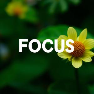 Focus