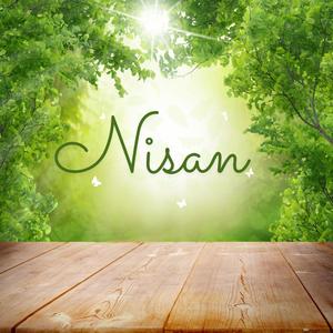 Nisan