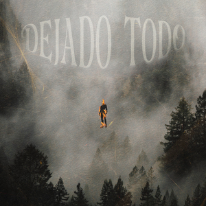 DEJADO TODO