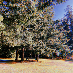 4848 (Endless Black Skies)