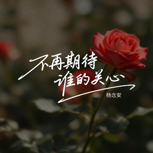不再期待谁的关心（原版）