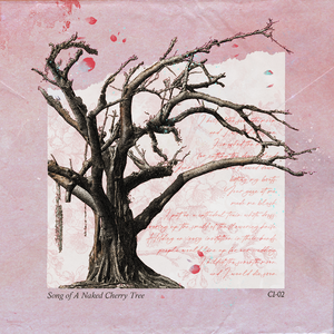 Song of A Naked Cherry Tree (赤裸樱树之歌)