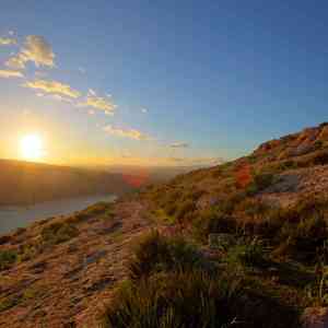 夜深之后 (风琴)