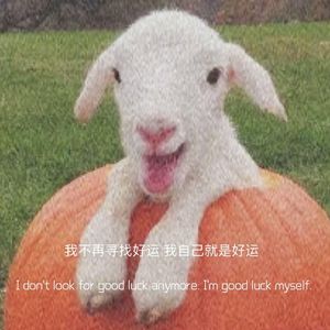 《蒲公英的约定》