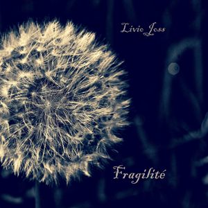 4 Pieces, Op. 51: 1. Fragilité