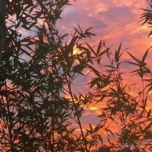 说太多不如沉默