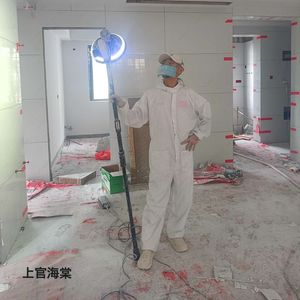 墙上游魂-上官海棠