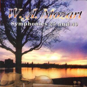 Symphony No. 40 in G Minor, KV 550: I. Allegro Molto