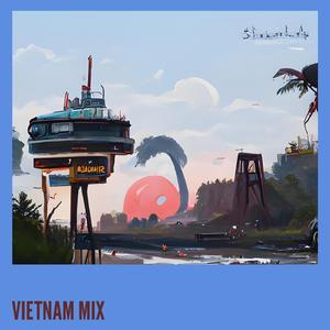 Vietnam Mix (Remix)