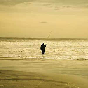 寻觅（告白版）