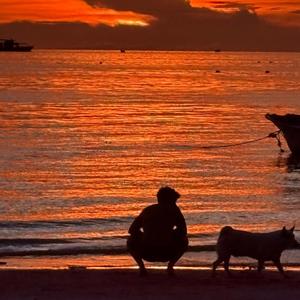 Tout Ne Vas Pas Si Mal