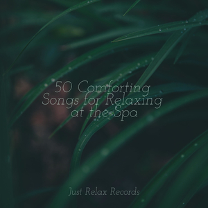 Echoes of Celestial Grief