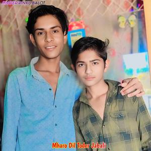 Mharo Dil Toder Jabali
