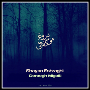 Doroogh Migofti (Original Mix)