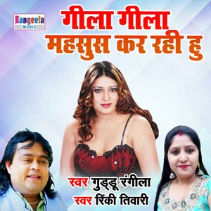 Geela Geela Mehsoos Kar Rahi Hoon