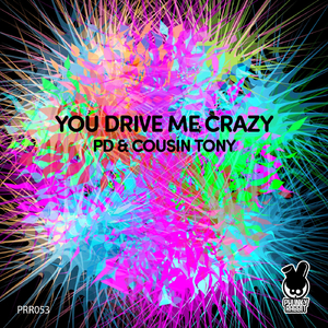 You Drive Me Crazy (Original Mix)