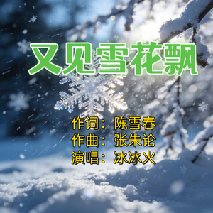 又见雪花飘（伴奏）