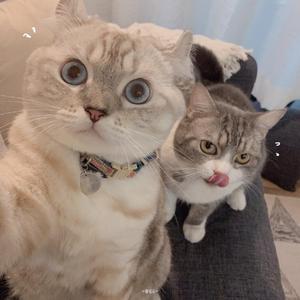 峰顶（翻自 创造群星）