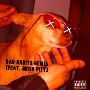 Bad Habits Remix (feat. MOSH PITT) (Remix) (Remix)
