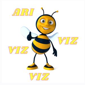 Arı Vız Vız (Enstrümantal)