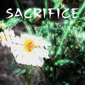 Sacrifice