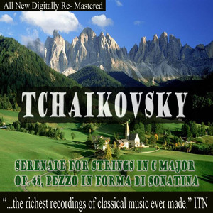Serenade for Strings in C Major Op. 48, Elegia, Part 1