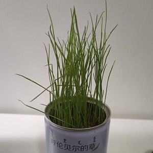 卷土重来（Prod.Gr33nart Beats）