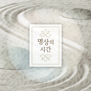 조개껍데기의 명상