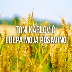 Lijepa Moja Posavino