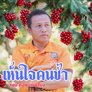 เห็นใจคนช้ำ