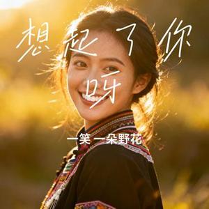想起了你呀