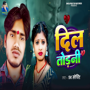 Dil Torni