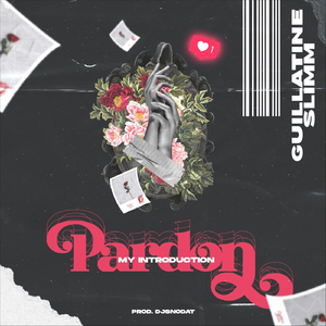 Pardon My Introduction