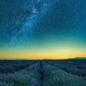 Resurgere（苏醒）