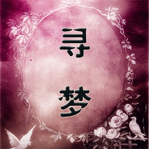 寻梦