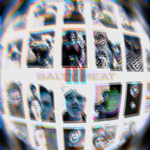 i will NOT eat the bugs (feat. The Omnipotent Creator & dañ0s)