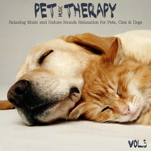 Pet Lullaby from Moon