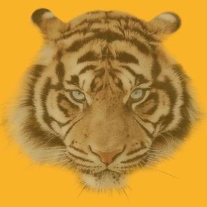 音质不过关，原文件丢失请求下架