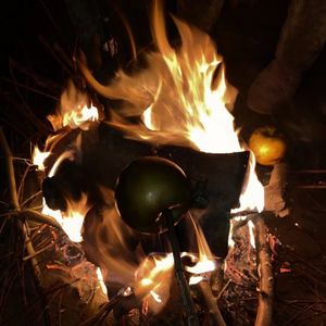 Promiscuity荷尔蒙