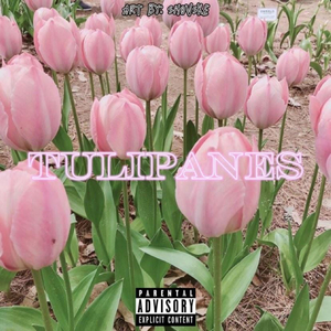 Tulipanes (Speed Version)