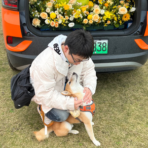 明かりの灯るところへ