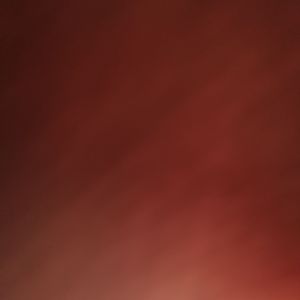 真的没喝多（B2$/KOALA）