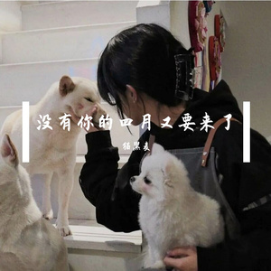 没有你的四月又要来了