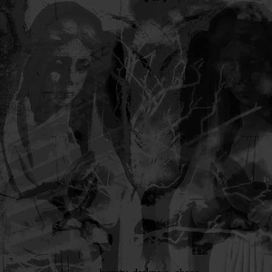 Providence, 1937-03-15