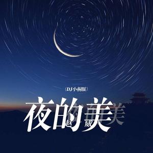 夜的美 (DJ小桐版)