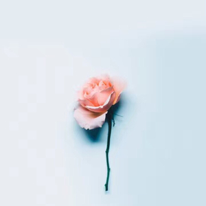 只对你有感觉（Cover 飞轮海 / Hebe）