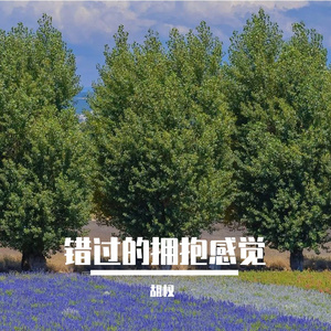 错过的拥抱感觉